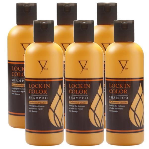 ファイテン  LOCK IN COLOR 　ロックインカラー　シャンプー 300ml×6点セット ファイテン LOCK IN COLOR ロックインカラー シャンプー 300ml×6点