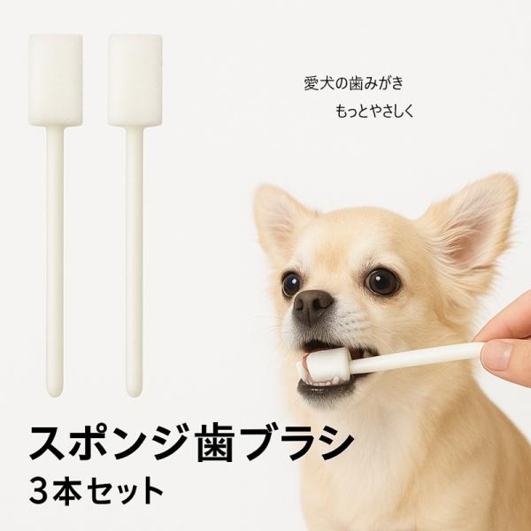 犬 猫 スポンジ 歯ブラシ3本セット 使い捨て 清潔 柔らかい 低刺激