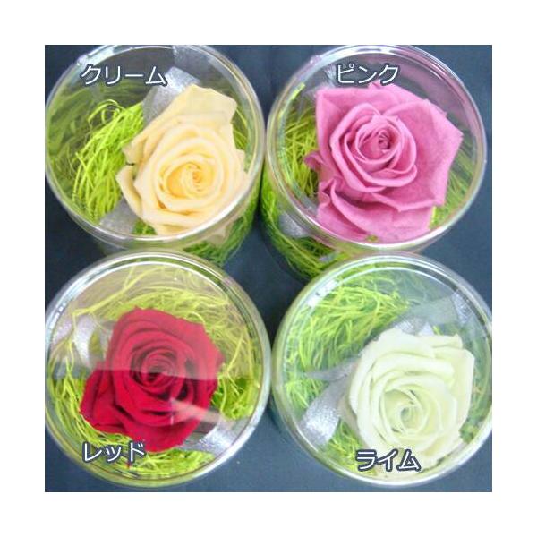 ■ご注意■商品は４色から選べるバラとなっております。可愛い透明のケースに入れてお届けします。■●◎当店で手作りしているオリジナル商品です◎●■■プリザーブドフラワーについて■プリザーブドフラワーは生花の一番綺麗な時に脱水作用がある脱色液に漬...