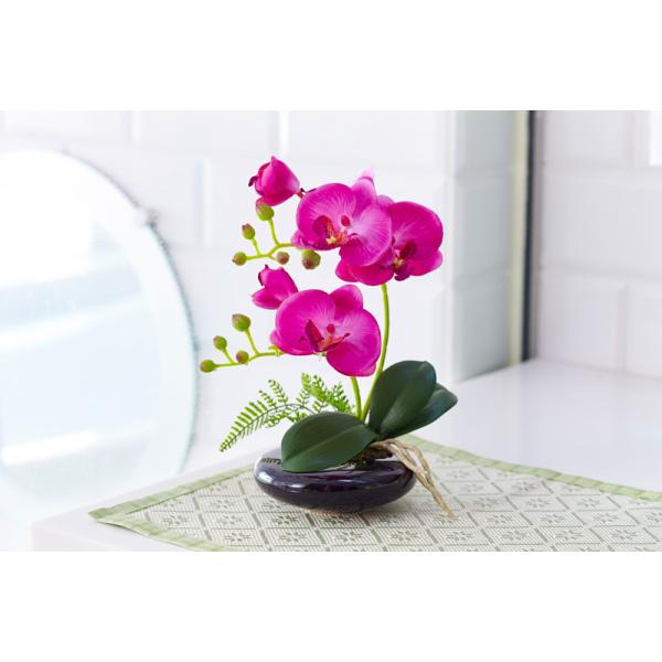 pegasus11_2021070701