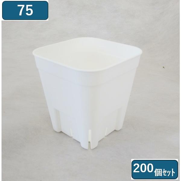 硬質ポットなので丈夫で長持ち。スリットにより、根がのびのび育ちます。挿しラベルが挿しやすく、抜けにくい。●材質・・・ポリプロピレン単品サイズ ・・・ 75型 64ｘ64ｘ57ｍｍ カラー・・・ホワイトお届け個数・・・200個