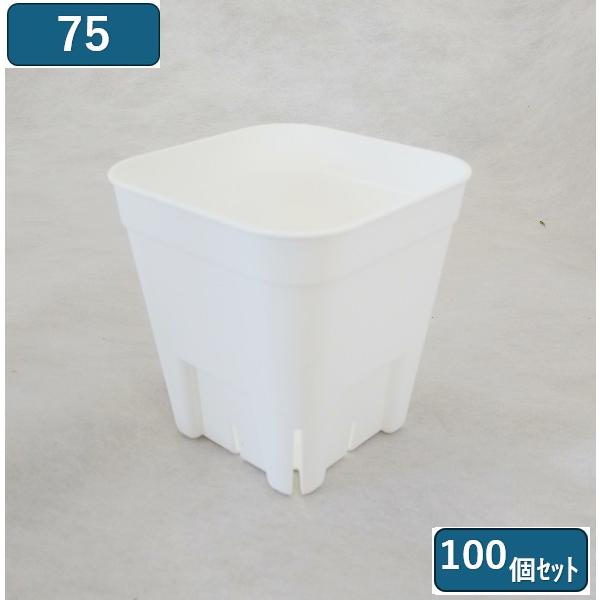 硬質ポットなので丈夫で長持ち。スリットにより、根がのびのび育ちます。挿しラベルが挿しやすく、抜けにくい。●材質・・・ポリプロピレン単品サイズ ・・・ 75型 64ｘ64ｘ57ｍｍ カラー・・・ホワイトお届け個数・・・100個