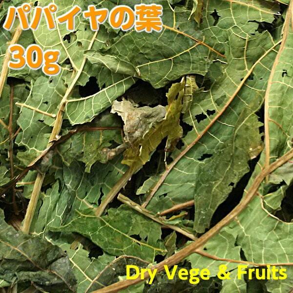 うちのらぱん 国産 パパイヤの葉 30ｇ うさぎ 小動物用 おやつ Pegマーケット 通販 Yahoo ショッピング