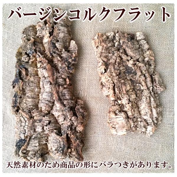 バージンコルク フラット１個 サイズのバラつきあります Corksdisplay Pegマーケット 通販 Yahoo ショッピング