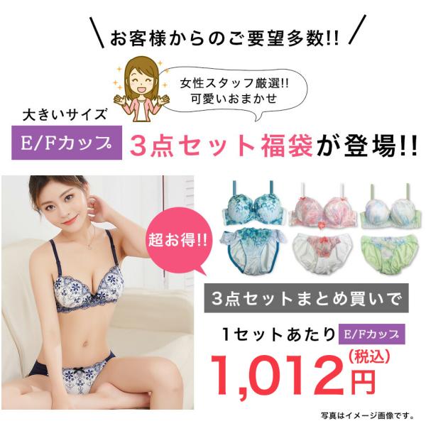 福袋 レディース 大きいサイズ ブラジャー ショーツセット 3点セット 下着 福袋 下着セット ブラジャー ショーツ E65 F75 Happybag Buyee Buyee 日本の通販商品 オークションの代理入札 代理購入