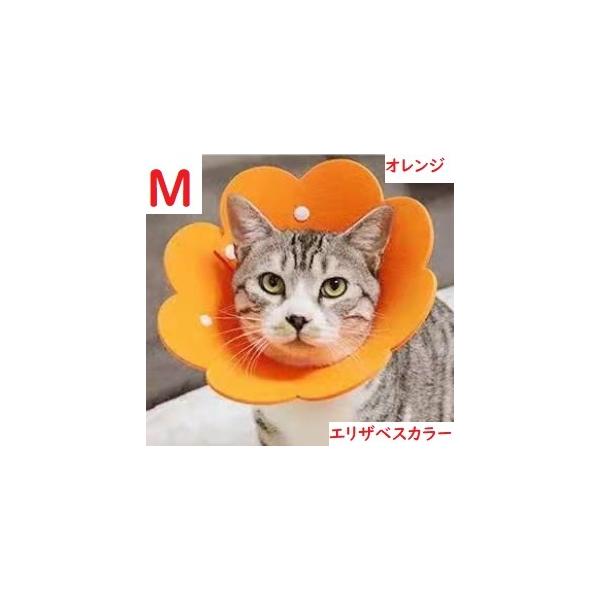 オレンジ エリザベスカラー S 楽天市場】犬 猫 エリザベスカラー オレンジS 首周り12〜20cm