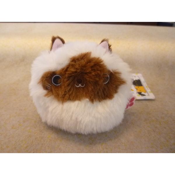 ねこだんご ヒマラヤン ヒマラヤン｜三英貿易株式会社