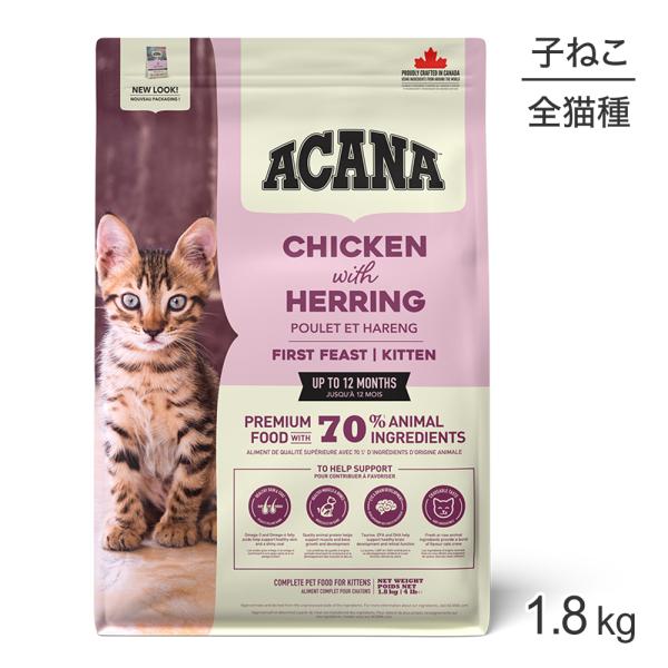 ファーストフィーストキャット