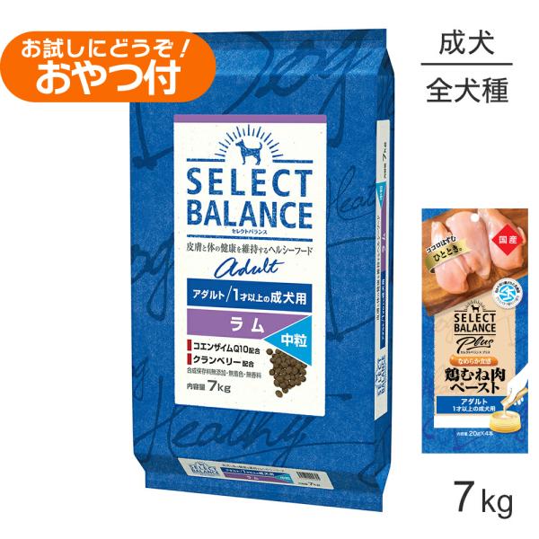 SELECT BALANCE セレクトバランス アダルト ラム 中粒 1才以上の成犬用