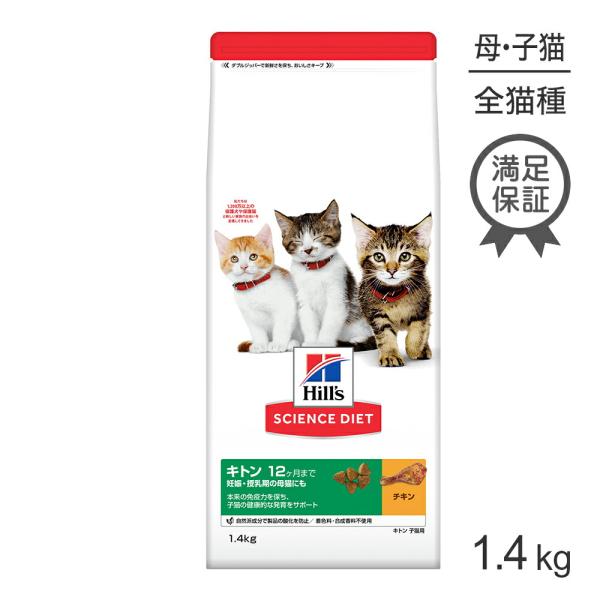 キトン
