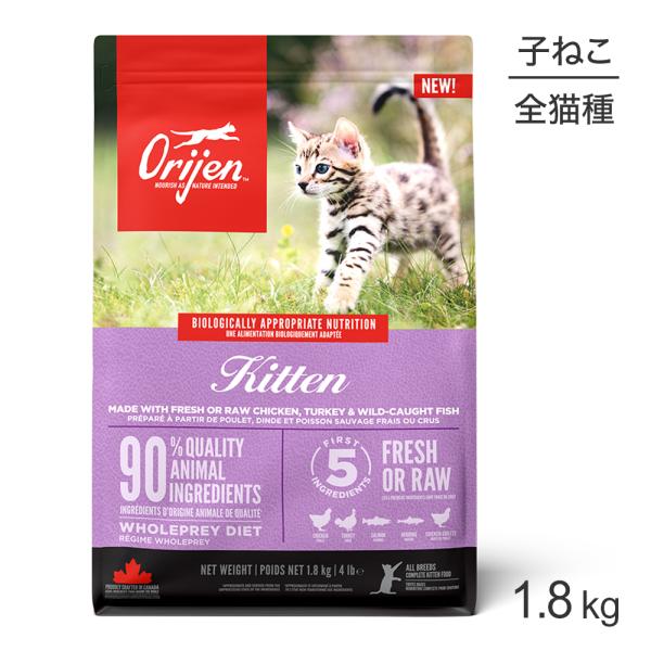 キトゥン
