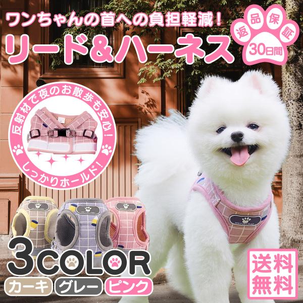  n[lX p Ck  [h  EȂ  ^ ^ 킢 