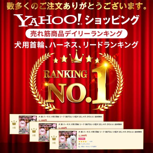 penguin-fly_210121-pet_1