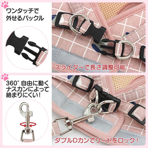 penguin-fly_210121-pet_5