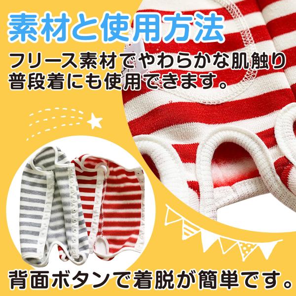 penguin-fly_210204-pet_4