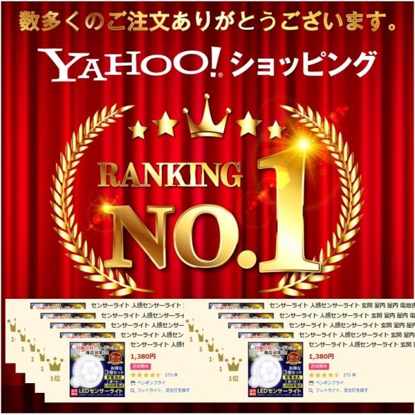 penguin-fly_210316-lightset_1