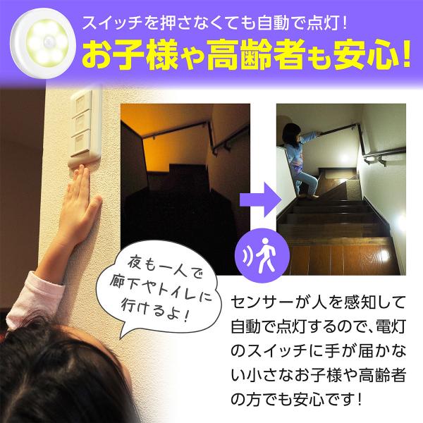 penguin-fly_210316-lightset_3