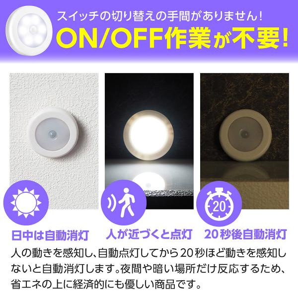 penguin-fly_210316-lightset_5