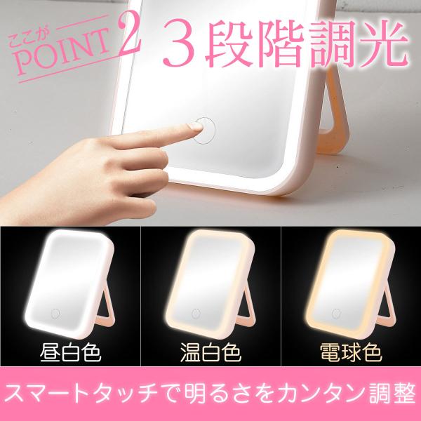 penguin-fly_210316-mirror_4