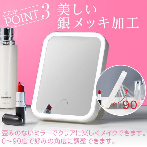 penguin-fly_210316-mirror_5