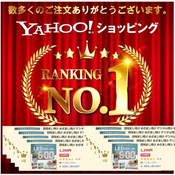 penguin-fly_210904-okitokei_1