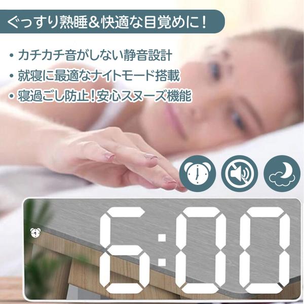 penguin-fly_210904-okitokei_4