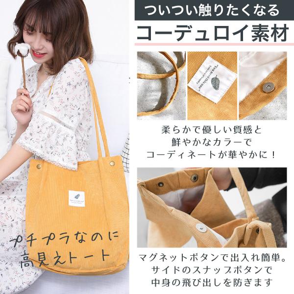 penguin-fly_220130-ctote_5