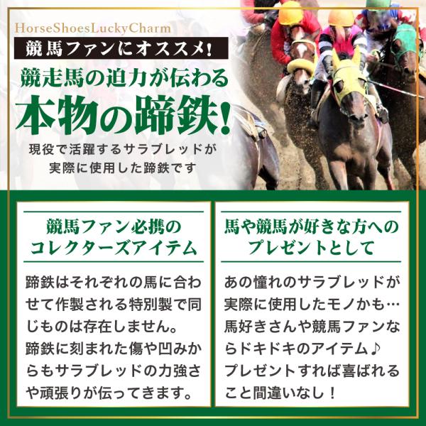 penguin-fly_220213-jrateitetsu_3_d_20220806140949