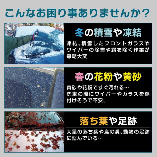 penguin-fly_241111flontcvr_1_d_20241111224018