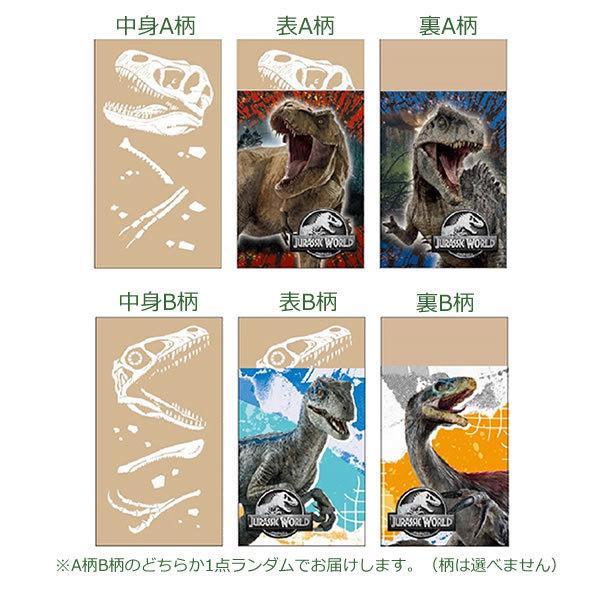 y匈ZZ[zWVbN[h S 0109 S2ǂꂪ͂͂y VEm[g Z[  AEgbg