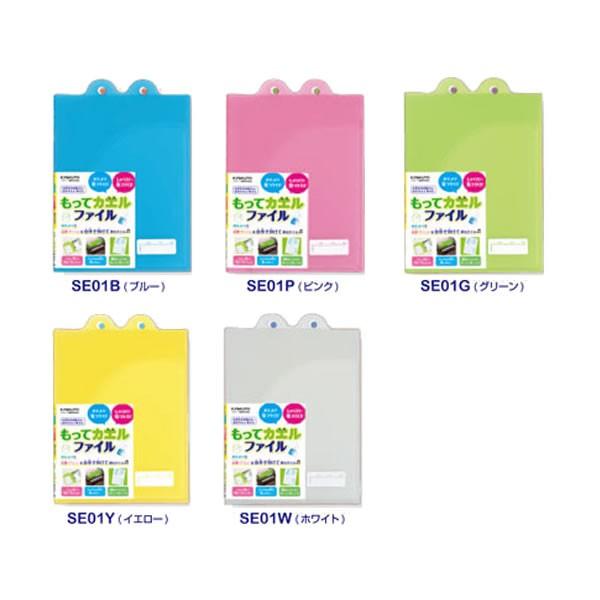 ăJGt@C@(B5)@LNgE@SE01 P