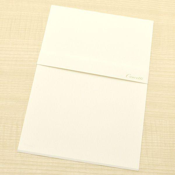 NIbeB Rbg N[ A5 XG1541 n 24384 v[g Mtg NX}X 