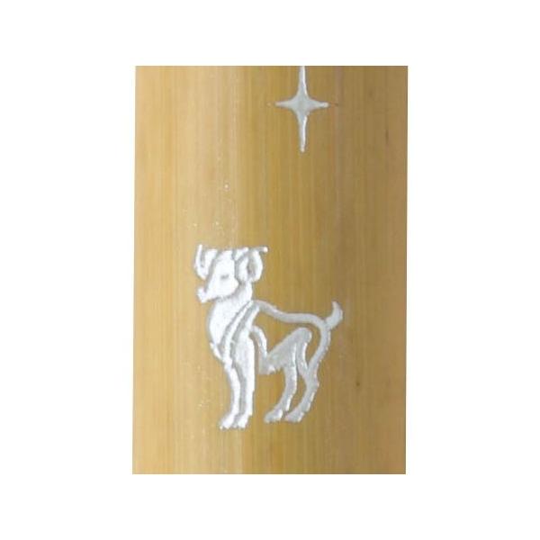  NѕM VR|My JX^I[_[ V[Y r AK3200MK-13  v[g Mtg NX}X 