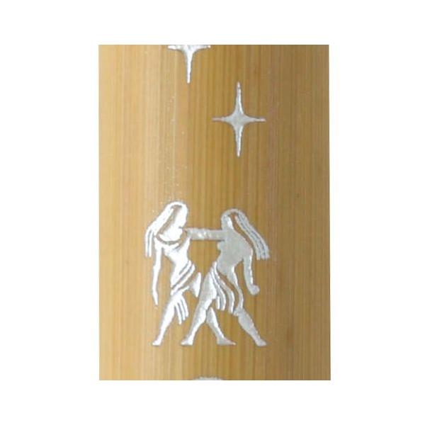  NѕM VR|My JX^I[_[ V[Y oq AK3200MK-15  v[g Mtg NX}X 