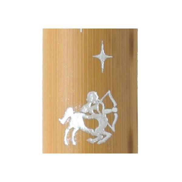  NѕM VR|My JX^I[_[ V[Y ˎ AK3200MK-21  v[g Mtg NX}X 