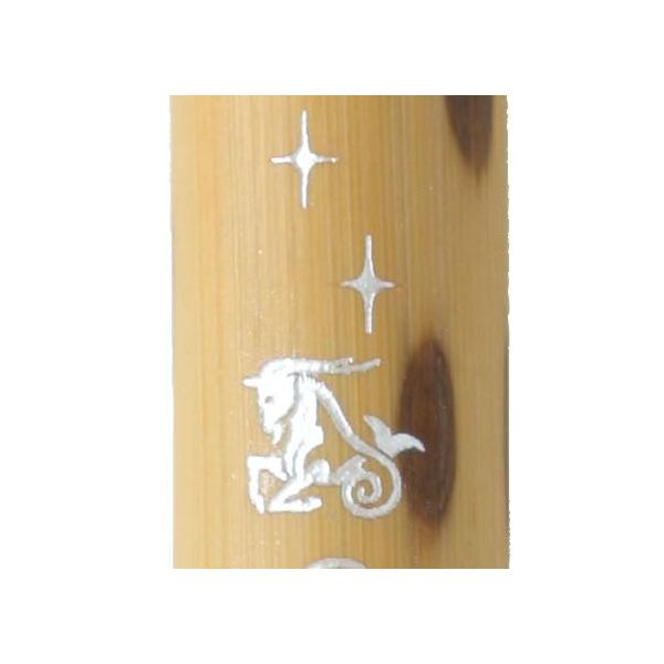  NѕM VR|My JX^I[_[ V[Y Rr AK3200MK-22  v[g Mtg NX}X 