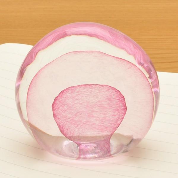 y[p[EFCg Pent yg by FH[ ܂ R{ ܂܂  KX Ɏq v[g Mtg  NX}X 