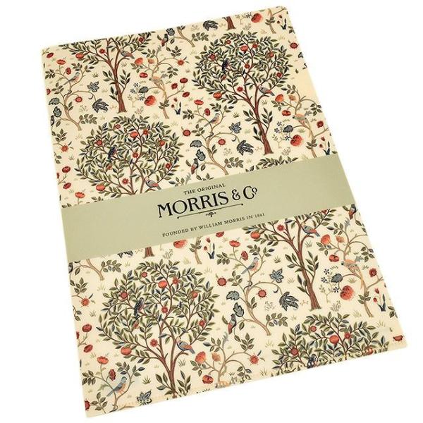 EBAEX A4NAt@C MCF-05 PXRbgc[ v[g Mtg NX}X 