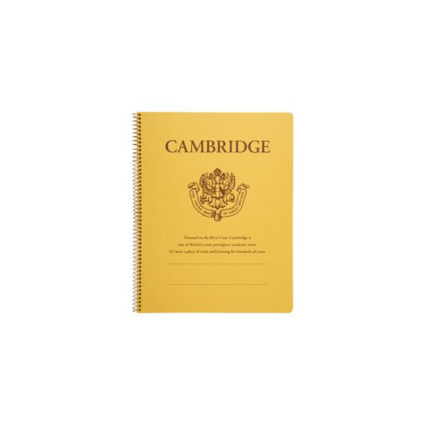 KYOKUTO LNgE CJbW XvO m[g A4ό` 7mmr PubW P903  Mtg 