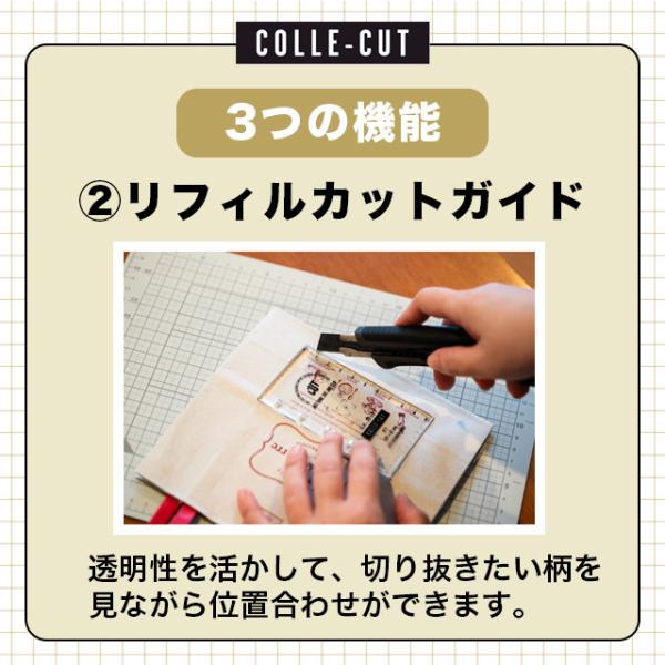 �V�X�e���蒠��p�J�b�e�B���O�K�C�h��K ����A�J�b�g LETS ���b�c�X�e�[�V���i���[�O�b�Y ���� ������ ���i�摜2