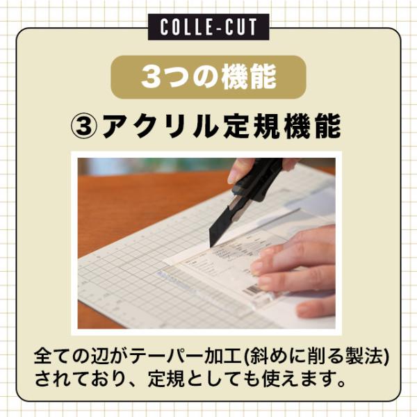 �V�X�e���蒠��p�J�b�e�B���O�K�C�h��K ����A�J�b�g LETS ���b�c�X�e�[�V���i���[�O�b�Y �h�V�̓� ���� ������ ���i�摜3
