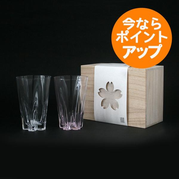 TNTNOX/^u[/g/100%/؈_/SAKURASAKU glass/Tumbler/qNp[Zg//炳/Rbv/OXyz