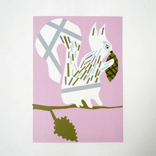 ktBh̃|XgJ[h/Squirrel/t@ubNt@[