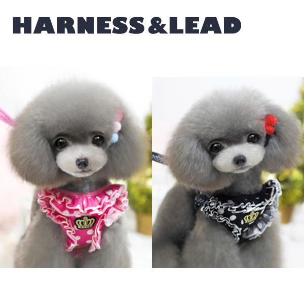 犬 首輪 ハーネス リード 水玉 小型犬 中型犬 胴輪 S M L ピンク ブラック Ar25 Pepe ペット用品専門店 通販 Yahoo ショッピング