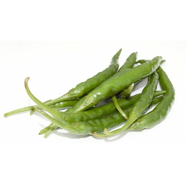 国産生青唐辛子辛口50g 冷凍品千葉県産 Buyee Buyee 提供一站式最全面最專業現地yahoo Japan拍賣代bid代拍代購服務bot Online