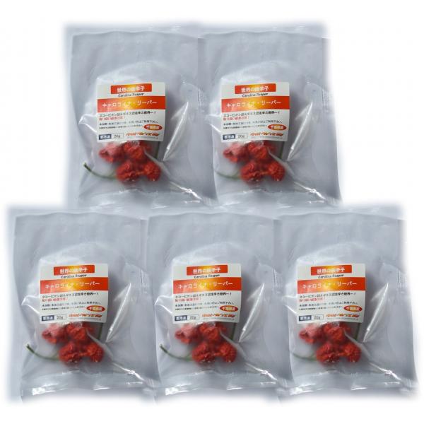 ギネス認定の記録では、ただいま所この品種が世界でもっとも辛い唐辛子として登録されています。(2015年9月現在)あの「トリニダード・スコーピオン・ブッチ・テイラー」をはるかに超えた数値をたたきだす化け物のような品種です。見た目はトリニダード...