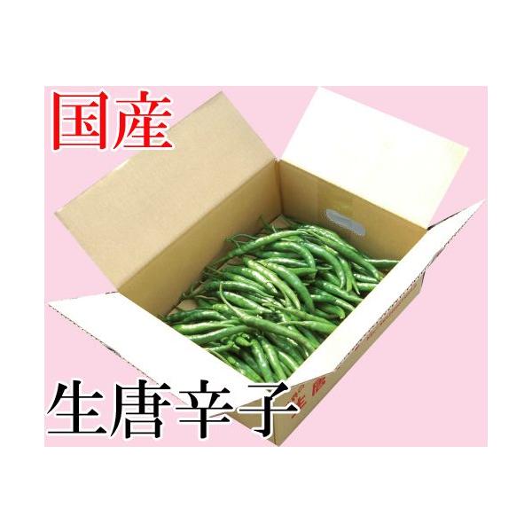 国産生青唐辛子辛口500g 生鮮品千葉県産 Buyee Buyee 提供一站式最全面最專業現地yahoo Japan拍賣代bid代拍代購服務bot Online