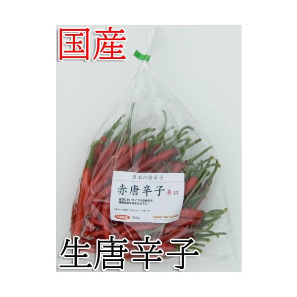y①ցzY@@ԓhq@h@500g@Ni@tY