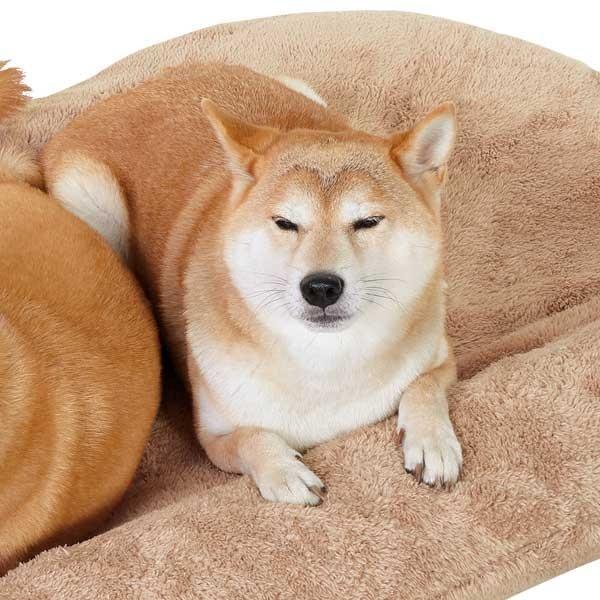 セール あご乗せ付きカーベッド 専用ボアカバー Mサイズ ドライブ 車 クッション マット 犬 猫 ペット パープル ベージュ ペットグッズ Buyee Buyee 提供一站式最全面最專業現地yahoo Japan拍賣代bid代拍代購服務 Bot Online