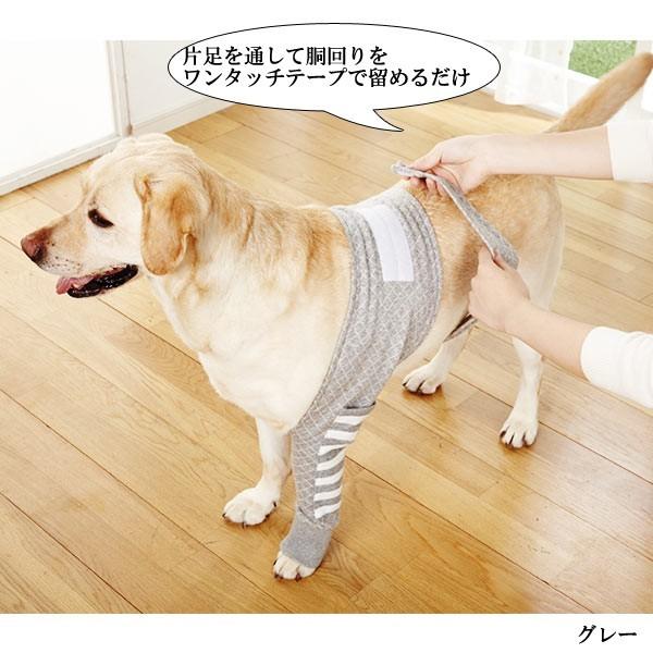 ポケット付ひじあて Lサイズ 介護用品 シニア 肘当て 床ずれ 腕 肘 老犬 老齢犬 犬用品 小型犬 中型犬 大型犬 猫用品 国産 日本産 Buyee Buyee 提供一站式最全面最專業現地yahoo Japan拍賣代bid代拍代購服務 Bot Online